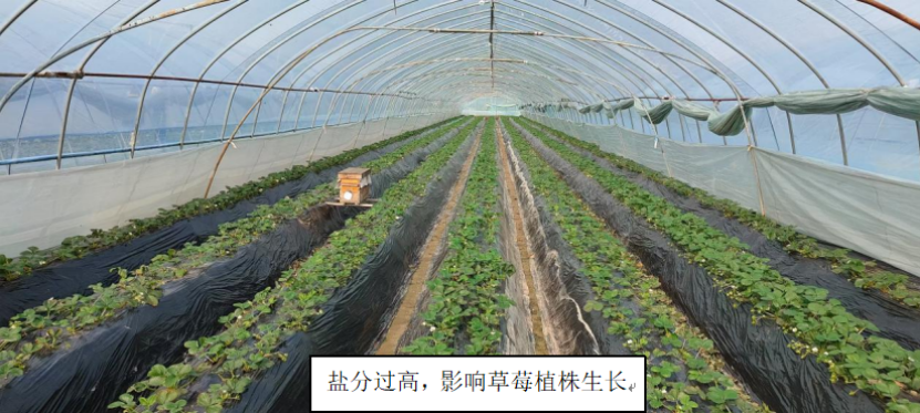 250104437必赢会员中心普利纳降盐1.png