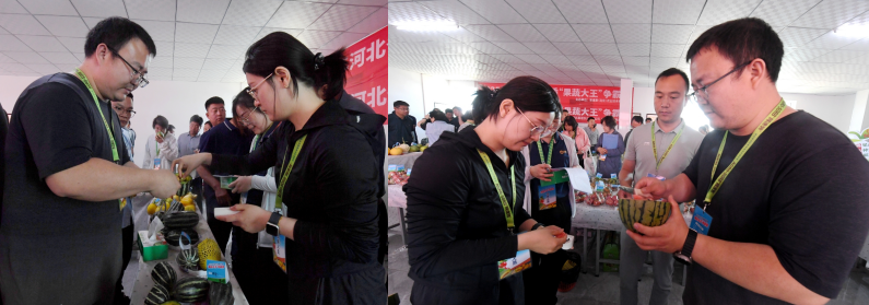 河北437必赢会员中心果蔬大王争霸赛顺利举办5.png