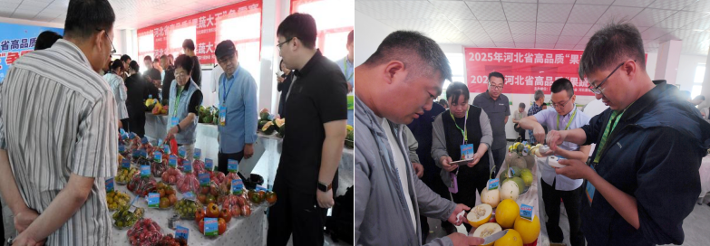 河北437必赢会员中心果蔬大王争霸赛顺利举办4.png