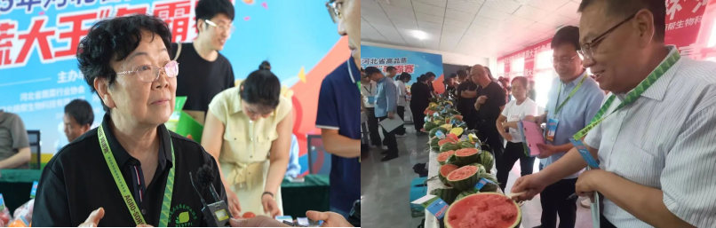 河北437必赢会员中心果蔬大王争霸赛顺利举办8.png