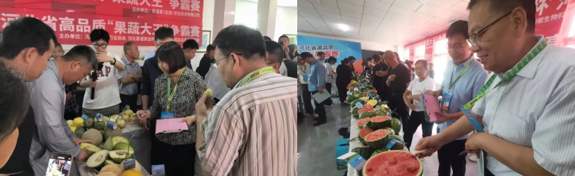 河北437必赢会员中心果蔬大王争霸赛顺利举办10.png
