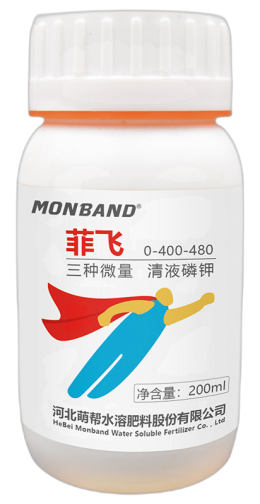 菲飞.png