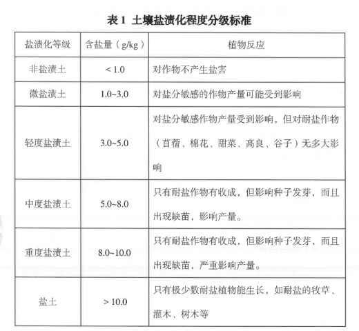 437必赢会员中心MBT产品权威认证5.png