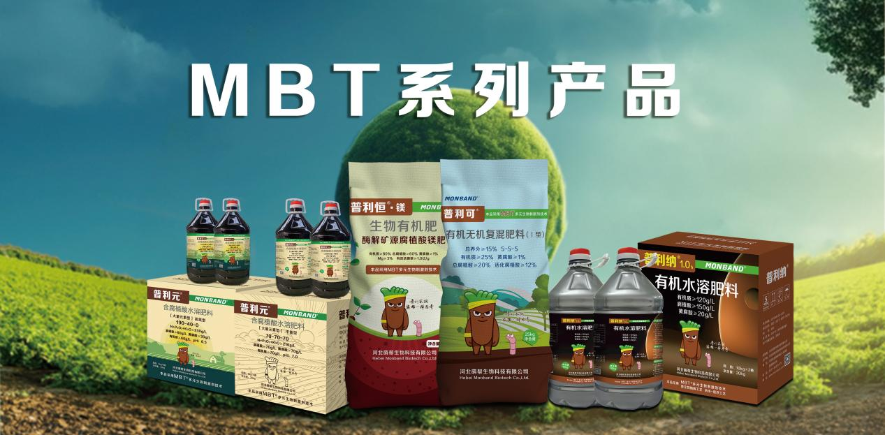 437必赢会员中心MBT产品权威认证8.png