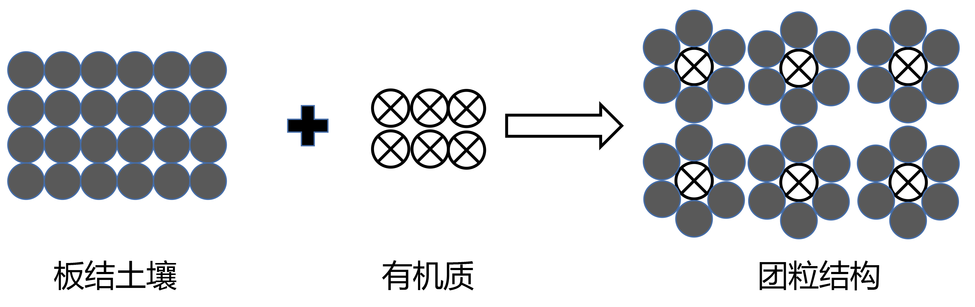 阳光玫瑰底肥施用437必赢会员中心普利系列肥料方案2.png